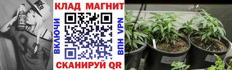 Где купить наркотики Петров Вал Вейп ТГК  Cocaine  АМФЕТАМИН  Канабис  Мефедрон  Alpha PVP 