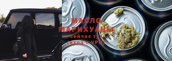 спиды Ельня