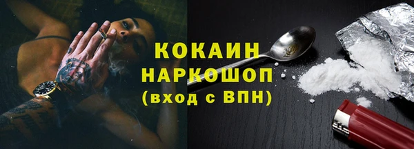 спиды Ельня