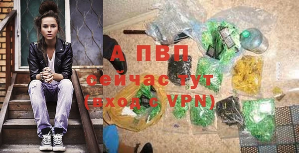 спиды Ельня