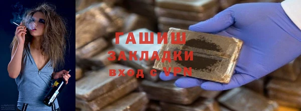 спиды Ельня