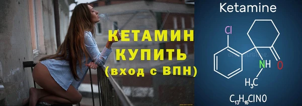 спиды Ельня