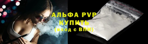 СК Елабуга