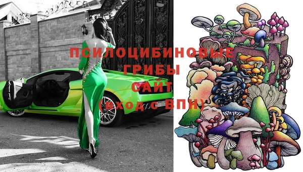 a pvp Новодвинск