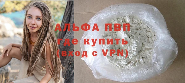 спиды Ельня
