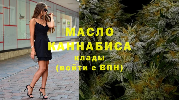 спиды Ельня