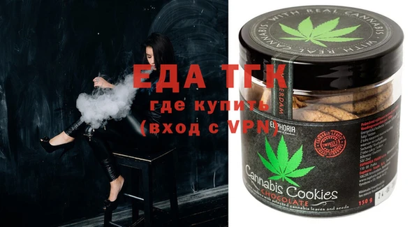 спиды Ельня